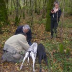 Istria Truffle Hunt Tour from Zagreb | Motovun forest